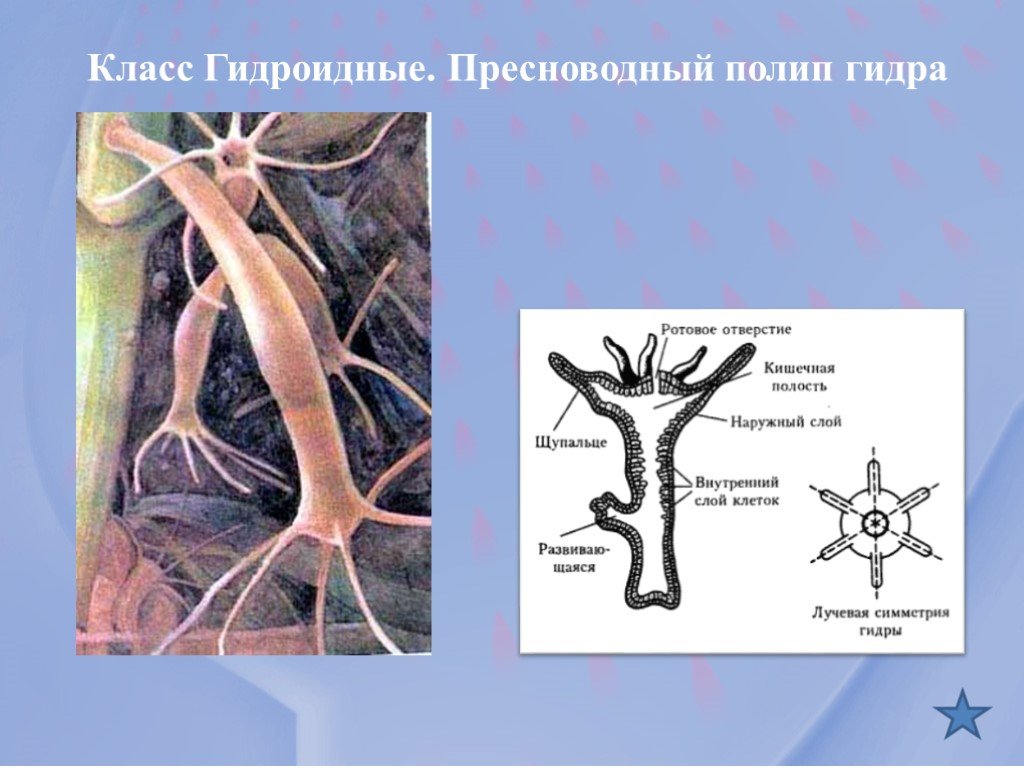 Где брать ссылки на кракен